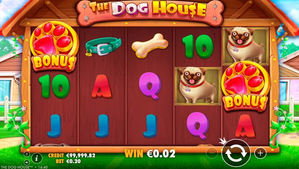 The Dog House