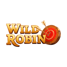 Recenzja Wild Robin Casino 2025