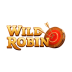 Recenzja Wild Robin Casino 2025