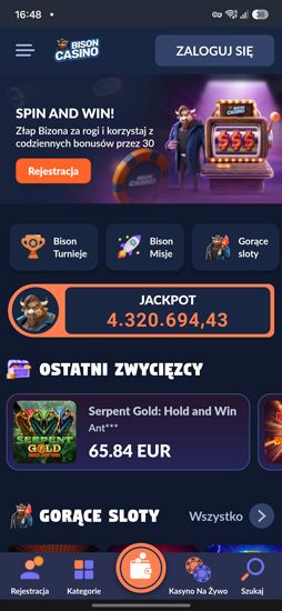 Bison Casino
