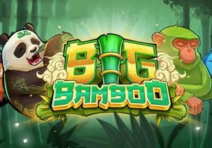 Ogólne informacje o slocie Big Bamboo