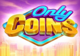 Ogólne informacje o slocie Only Coins