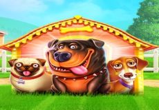 The Dog House