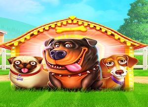 Ogólne informacje o slocie The Dog House