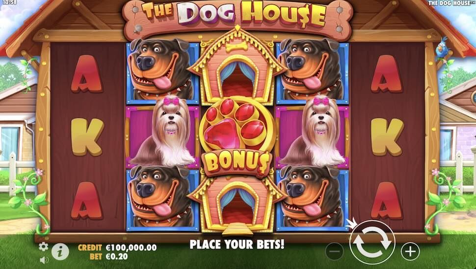 The dog house slot pierwsze wrazenia